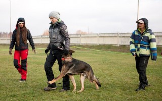  Семинар с Gabina Macounova 