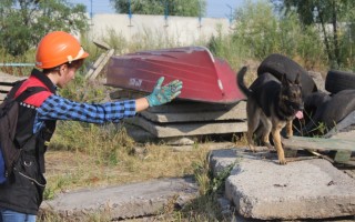 "Міжнародний IRO Тест"