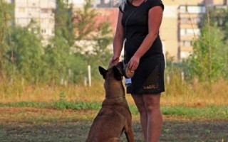 "Кубок АльКор - 2014" 