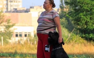 "Кубок АльКор - 2014" 