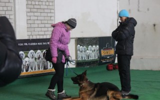 Семинар Татьяны Правды