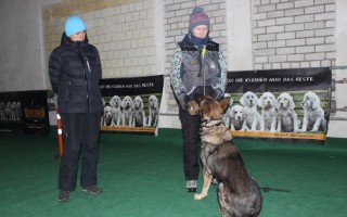 Семинар Татьяны Правды