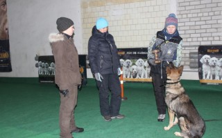 Семинар Татьяны Правды