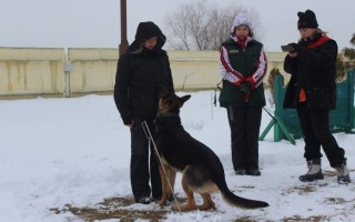 Семинар Татьяны Правды