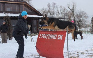 Семинар Татьяны Правды