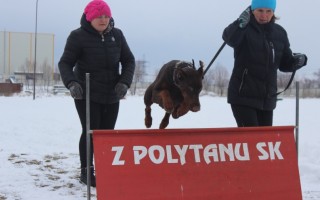 Семинар Татьяны Правды