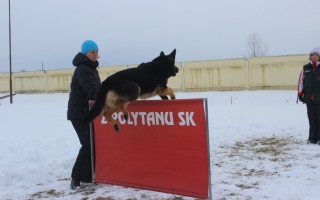 Семинар Татьяны Правды