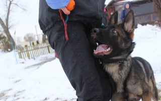 Семинар Татьяны Правды