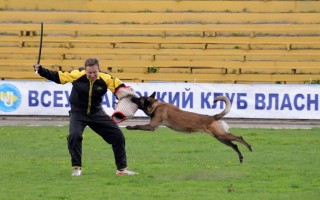 "КУБОК ВАСИЛЬКОВА - 2015"