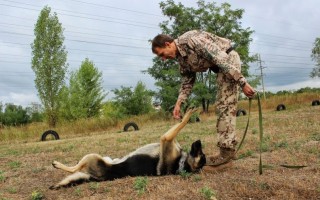 Площадка Троещина