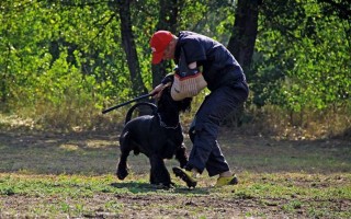 Площадка Троещина